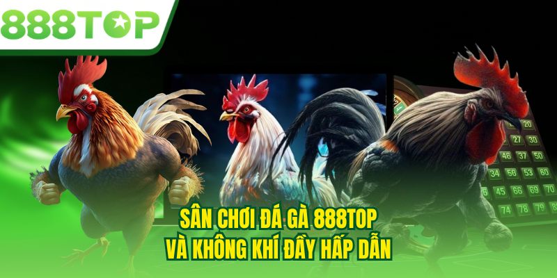 Sân chơi đá gà 888TOP và không khí đầy hấp dẫn